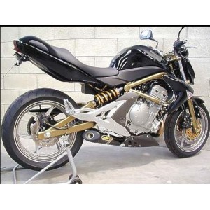 ESCAPE G&G KAWASAKI ER-6 ``11 - Factory Bike