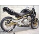 ESCAPE G&G KAWASAKI ER-6 ``11 - Factory Bike