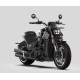 Morbidelli C1002V custom - Factory Bike