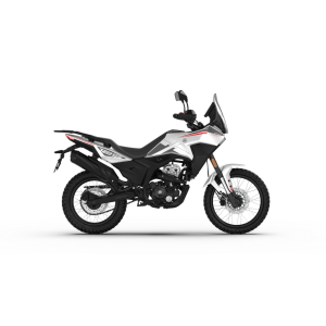 Morbidelli T125X - Factory Bike