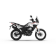 Morbidelli T125X - Factory Bike