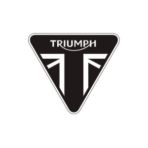 Triumph torretas T2040893 - Factory Bike