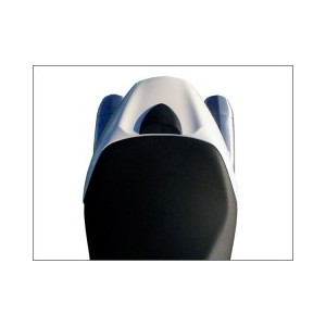ESCAPE HP CORSE PARA DUCATI MONSTER 696 - Factory Bike