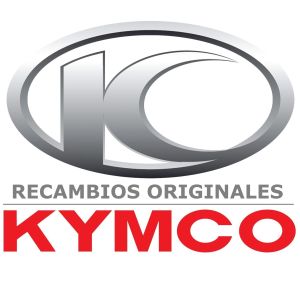 RECAMBIO KYMCO PROTECTOR QUILLA 50613-LGR5-E10