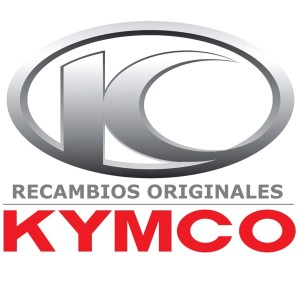 RECAMBIO KYMCO ASIDERO TRAS. DCH AZUL 81200-ADG5-E00-CVP