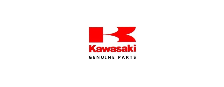 Recambio original Kawasaki
