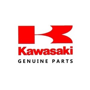 Recambio original Kawasaki