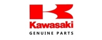 Recambio original Kawasaki